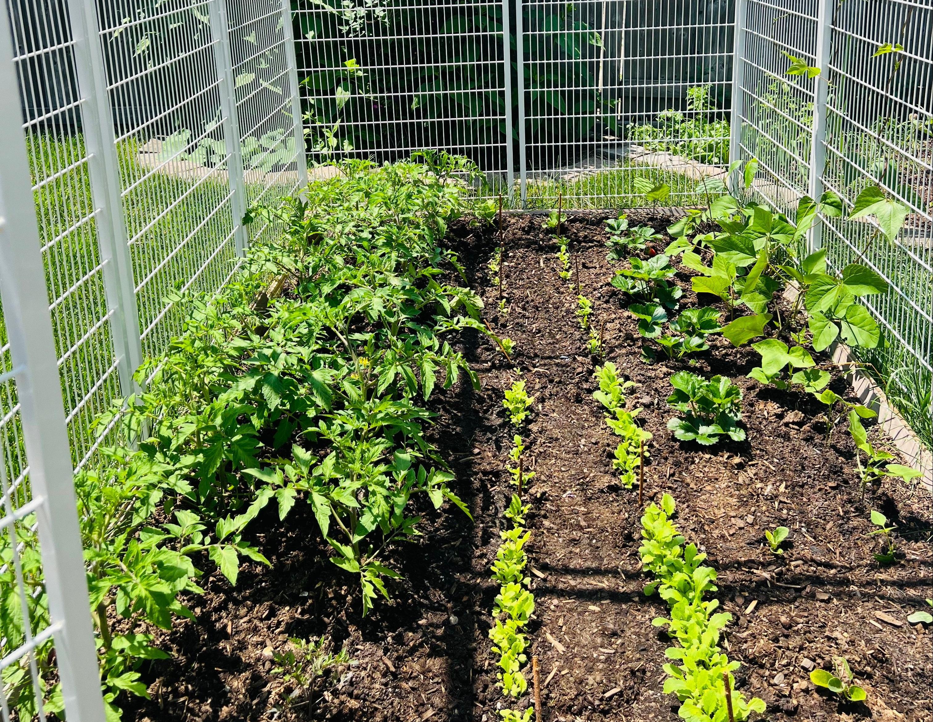 微信图片_20231120114345(1)(1)