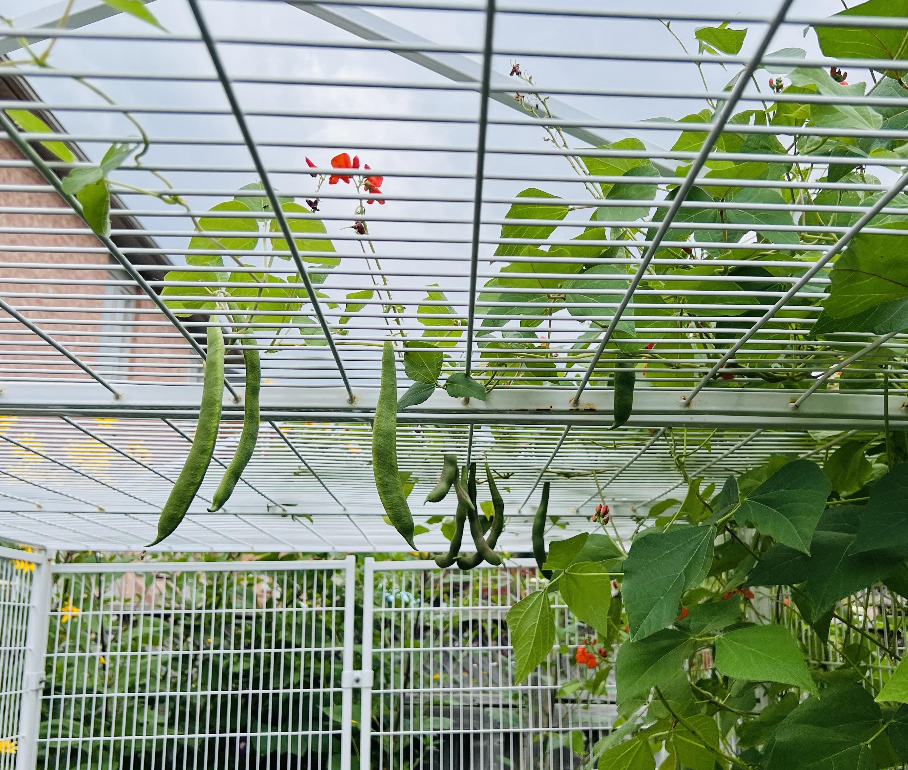 微信图片_20231120113907(1)